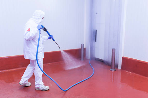 Reliable Vega, TX Pressure Washing Services Solutions