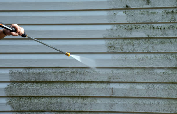 Trusted Vega, TX Pressure Washing Services Experts